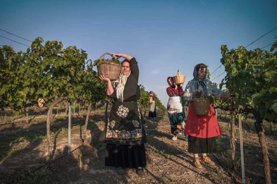 242121218 1175619052947288 4664769032543653855 n vasili farsala | Lamianow.gr