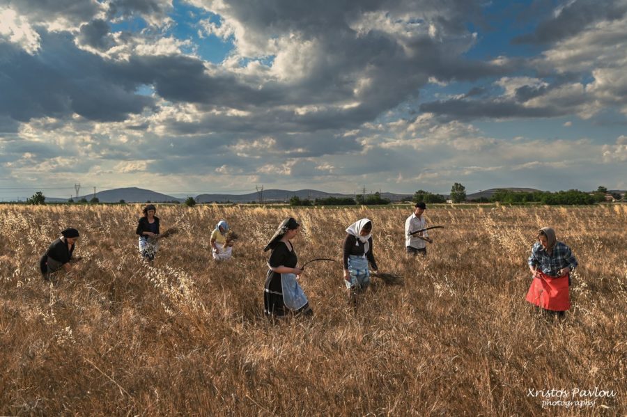 CP7 3367 copy vasili farsala | Lamianow.gr