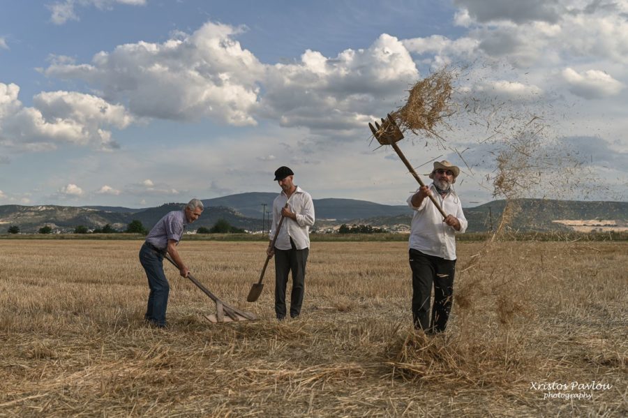 CP7 3488 copy vasili farsala | Lamianow.gr