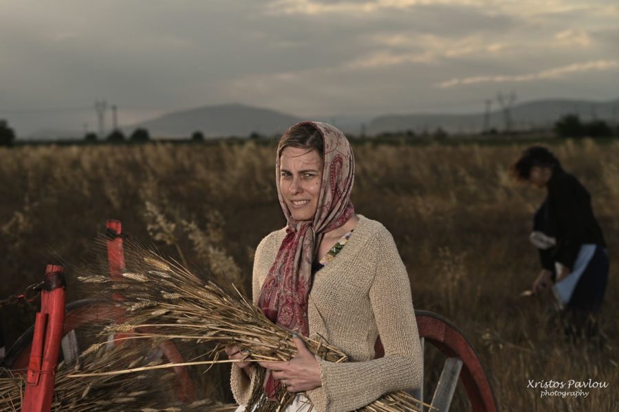 CP7 3618 copy vasili farsala | Lamianow.gr