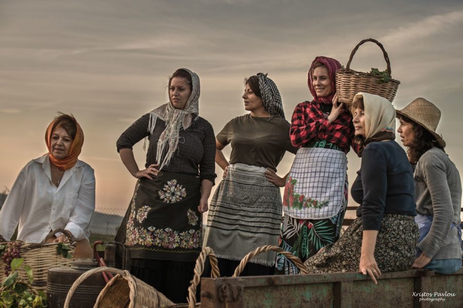 CP7 5659 copy 2 vasili farsala | Lamianow.gr