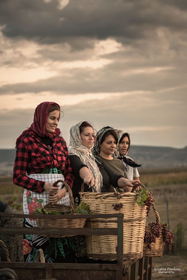 CP7 5701 copy 2 vasili farsala | Lamianow.gr