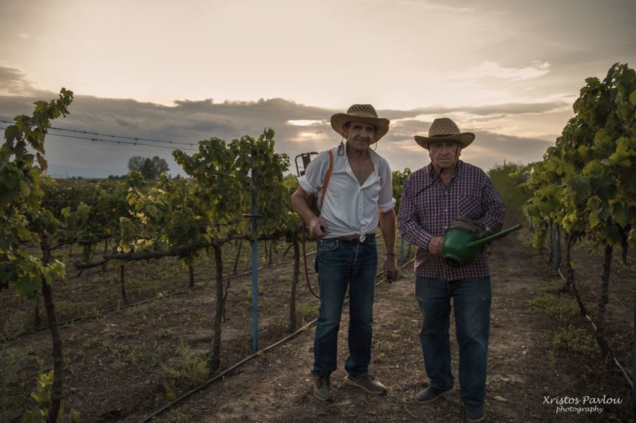 CP7 5702 copy 2 vasili farsala | Lamianow.gr