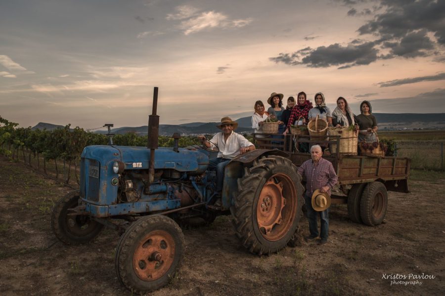 CP7 5781 copy 3 vasili farsala | Lamianow.gr