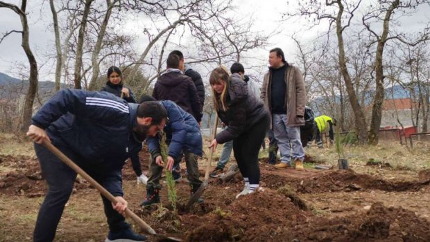 Τέμπη: Φοιτητές από το Καρπενήσι φύτευσαν 57 κυπαρίσσια στην μνήμη των νεκρών