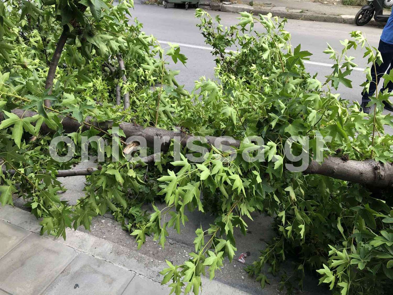 Εικόνα