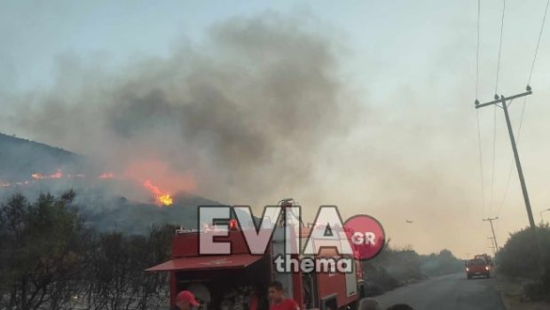 Εύβοια: Φωτιά στο Μηλάκι Αλιβερίου κοντά στο εργοστάσιο της ΔΕΗ