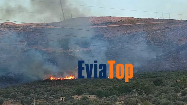 Υπό έλεγχο η φωτιά στο Αλιβέρι
