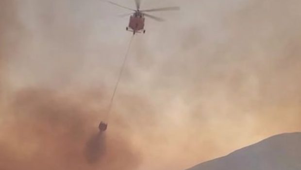 Φωτιά στην Ρόδο: Καίει εκτός ελέγχου δασική έκταση