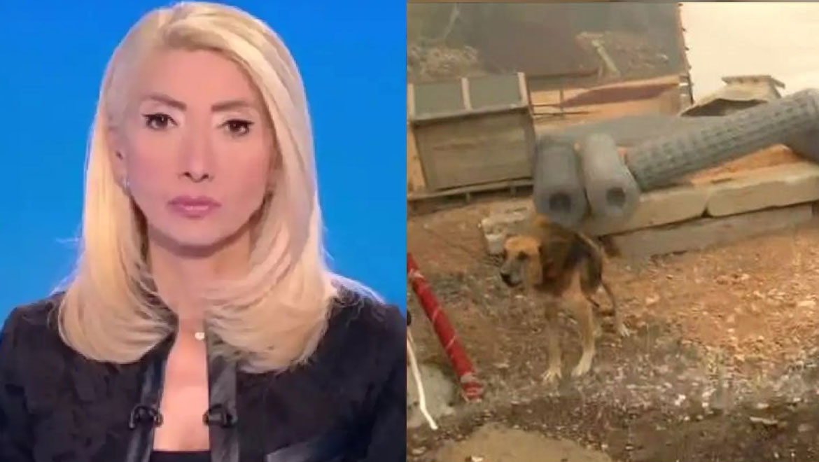 Ξέσπασε η Μίνα Καραμήτρου: «Απορώ που οι άνθρωποι που έφυγαν κι άφησαν το σκυλί δεμένο»