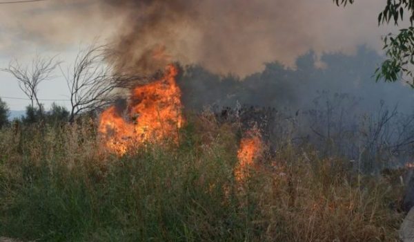 Φωτιά τώρα στα Γρεβενά σε δασική έκταση – Μεγάλη κινητοποίηση της Πυροσβεστικής