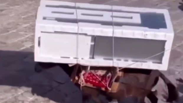 Επιμένει ο δήμαρχος Ύδρας για το φορτωμένο γαϊδουράκι: «Γίνεται 200 χρόνια στο νησί – Δεν παραβιάζεται καμία νομοθεσία»