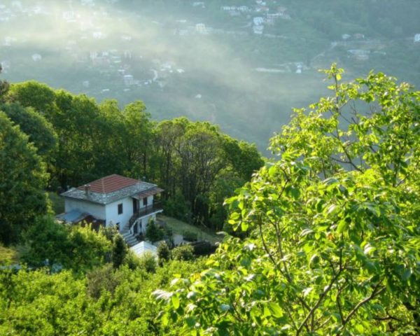Το χωριό του Πηλίου με την άπλετη βλάστηση και τους θρύλους (φωτό)