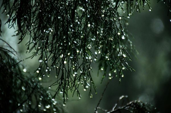 Ο καιρός με την Α. Τυράσκη: Βροχές και πτώση θερμοκρασίας Τρίτη και Τετάρτη – Βελτίωση του σκηνικού από Πέμπτη