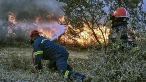 Πυροσβεστική: 81 αγροτοδασικές πυρκαγιές το τελευταίο 24ωρο στη χώρα