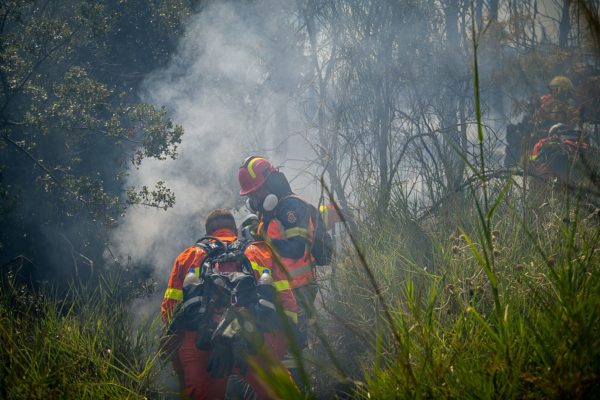 Πυρκαγιά ξέσπασε σε αποθηκευτικό χώρο κάβας στη Μάνδρα
