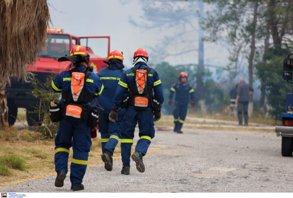 Φωτιά στο όρος Αιγάλεω: Αναπτήρες και σφουγγάρι βρέθηκαν στην κατοχή του Τούρκου που συνελήφθη