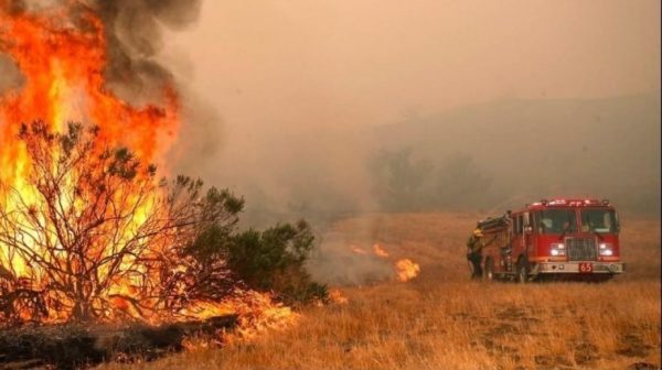 Καματερό: Υπό έλεγχο η πυρκαγιά – Αποκαταστάθηκε η κυκλοφορία στη Νέα Λ. Θηβών