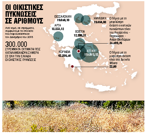 Αυθαίρετα: Βόμβες έτοιμες να εκραγούν στα δάση