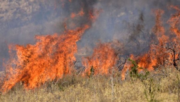 Υπό έλεγχο η πυρκαγιά σε χαμηλή βλάστηση στο Σοφό Ασπροπύργου