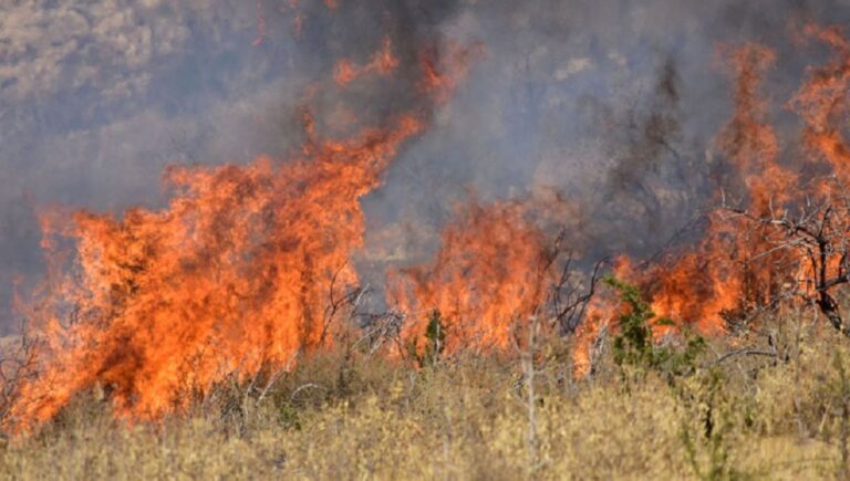 Υπό έλεγχο η πυρκαγιά σε χαμηλή βλάστηση στο Σοφό Ασπροπύργου
