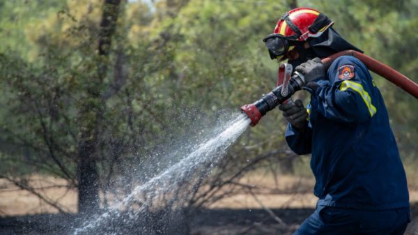 Συσκέψεις της Πολιτικής Προστασίας σε όλη τη χώρα για την αντιπυρική περίοδο – Αν. Μακεδονία και Θράκη, Ιόνιο και Β. Αιγαίο οι τελευταίοι σταθμοί