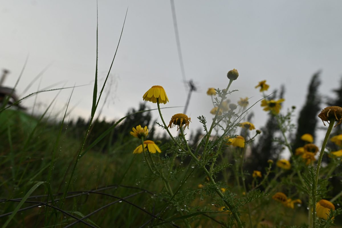 Με βροχές και πτώση της θερμοκρασίας ξεκινάει η εβδομάδα – Σε ποιες περιοχές θα γίνει περισσότερο αισθητή η μεταβολή του καιρού
