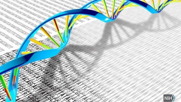 Παραχώρηση του DNA των νεογνών σε ιδιωτικές εταιρείες από το υπουργείο Υγείας