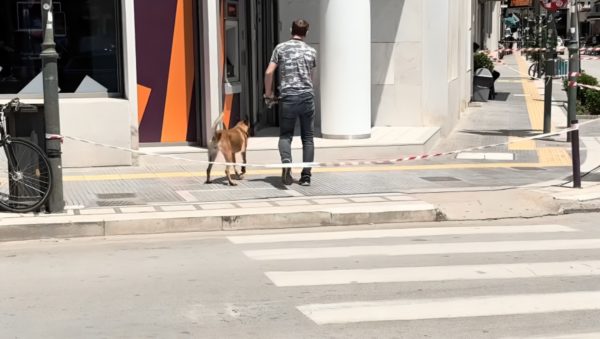 Λάρισα: «Εμμονή» με συγκεκριμένη τράπεζα είχε ο 44χρονος φαρσέρ με τις απειλές για βόμβα – Οδηγείται σήμερα στον εισαγγελέα