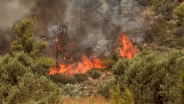 Φωτιά στον Ασπρόπυργο – Σηκώθηκαν και εναέρια μέσα