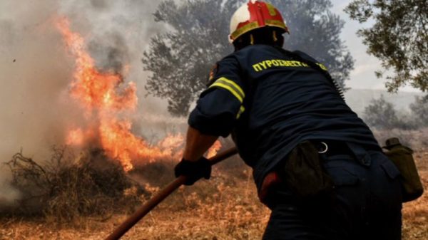 Πυροσβεστική: 41 αγροτοδασικές πυρκαγιές το τελευταίο 24ωρο σε όλη τη χώρα