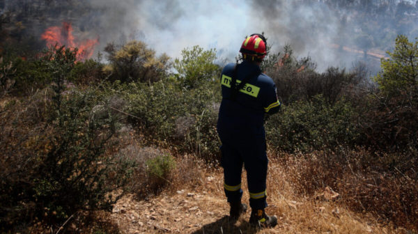 Πυροσβεστική Υπηρεσία: 55 αγροτοδασικές πυρκαγιές το τελευταίο 24ωρο σε όλη τη χώρα
