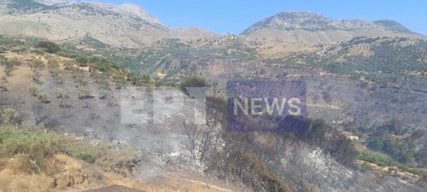 Κρήτη: Φωτιά στο Ηράκλειο, στις φλόγες η περιοχή Κάτω Ασίτες – Ήχησε το 112 (βίντεο)