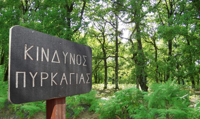 Υψηλός κίνδυνος πυρκαγιάς σήμερα σε πολλές περιοχές της χώρας