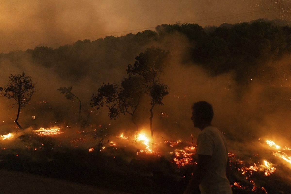 Πυροσβεστική: Συνολικά 48 αγροτοδασικές πυρκαγιές σε 24 ώρες