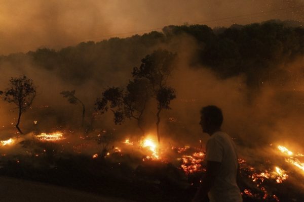 Πυροσβεστική: Συνολικά 48 αγροτοδασικές πυρκαγιές σε 24 ώρες