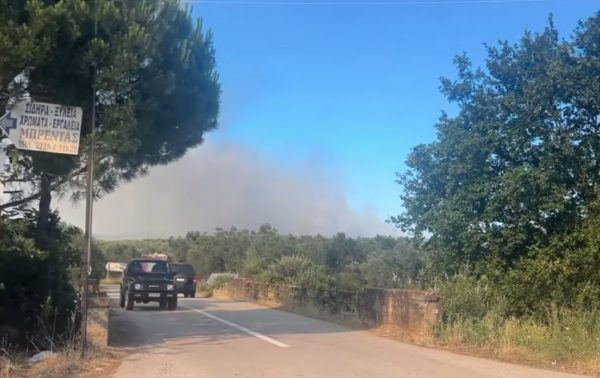 Φωτιά στην περιοχή Αχλάδι Στυλίδας – Μήνυμα 112 στους κατοίκους να είναι σε ετοιμότητα