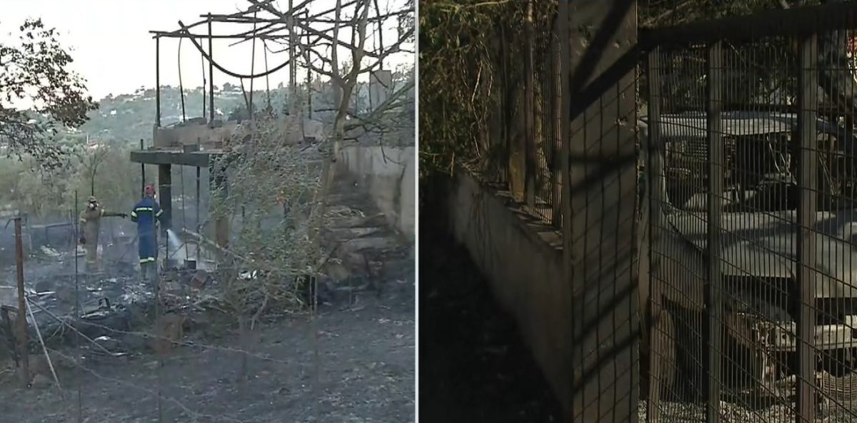 «Η φωτιά μπήκε στο σπίτι μας, φύγαμε την τελευταία στιγμή» – Πυρόπληκτη στα Σπάτα μιλάει στο ΕΡΤNews