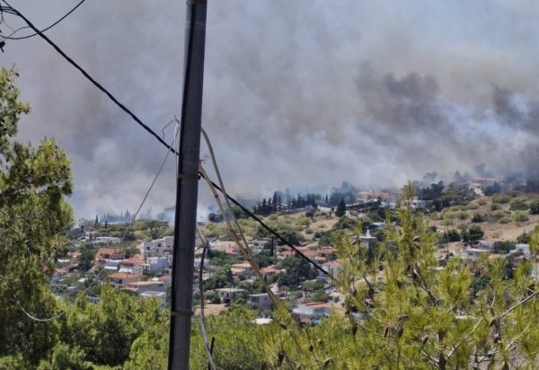Φωτιά στο Κορωπί – Αντιδήμαρχος Κρωπίας στο ΕΡΤΝews: «Το μέτωπο είναι σε μεγάλη εξέλιξη – Απομακρύναμε κόσμο»