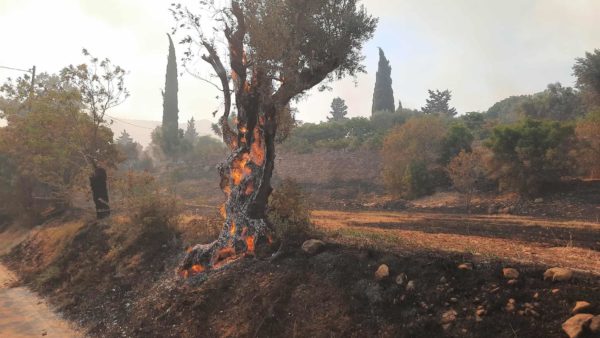 «Μεγάλες μάχες» σε 1050 πύρινα μέτωπα από τον Ιούνιο – Λέκκας και Τσίγκας στο ΕΡΤΝews
