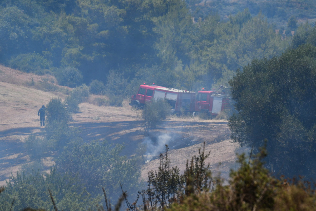 Φωτιά στην Εύβοια: Συνελήφθη αλλοδαπός ως υπαίτιος – Επιφυλακή για τυχόν αναζωπυρώσεις