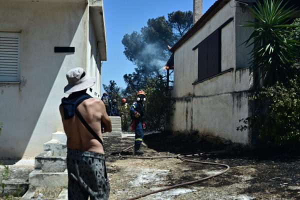 Η επόμενη ημέρα από τη φωτιά στι Κορωπί – Αποκαρδιωτικές εικόνες καταστροφής