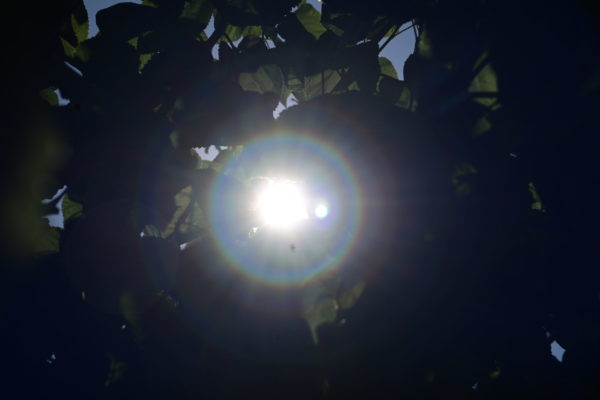 Στο «κόκκινο» ο υδράργυρος μέχρι την Τετάρτη, έως τους 42 βαθμούς το θερμόμετρο – Ποιες περιοχές θα «βράσουν»