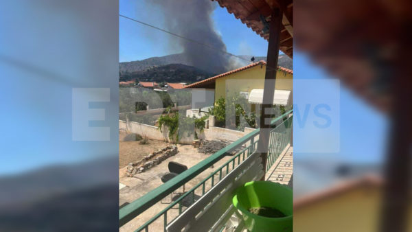 Συνελήφθη 55χρονος μελισσοκόμος για την πυρκαγιά στην Αλυκή Βοιωτίας