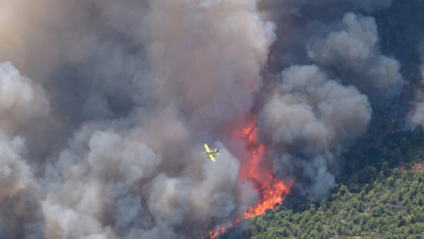 Πυρκαγιά στην Πάρνηθα – Επί ποδός η Πυροσβεστική Υπηρεσία