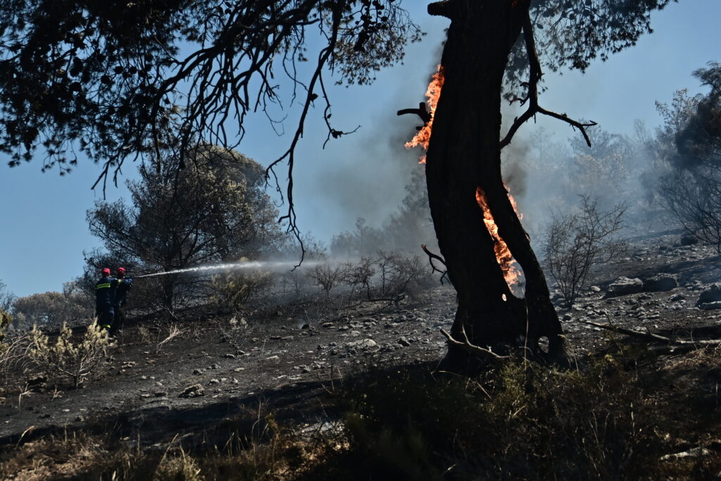 Πολύ υψηλές θερμοκρασίες και σήμερα, έως τους 41 βαθμούς το θερμόμετρο – Πολύ υψηλός ο κίνδυνος πυρκαγιάς σχεδόν σε όλη τη χώρα