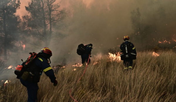 Πυροσβεστική: 41 αγροτοδασικές πυρκαγιές το τελευταίο 24ωρο σε όλη τη χώρα