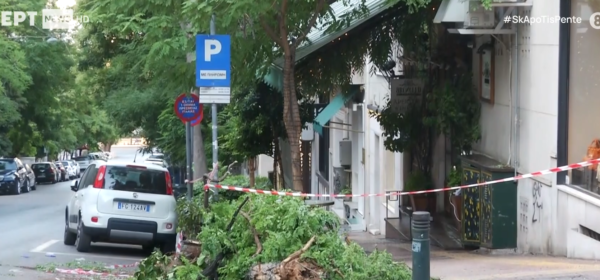 Κολωνάκι: Το χρονικό του απίστευτου ατυχήματος στο κέντρο της Αθήνας – Το δέντρο έσωσε ζωές