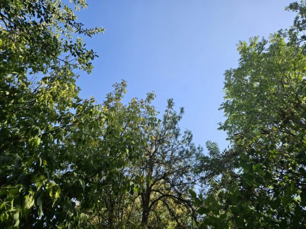 Καιρός: Πρόσκαιρη ανάσα δροσιάς την Παρασκευή στα βόρεια – Πρόγνωση από τον Χρ. Παρανό