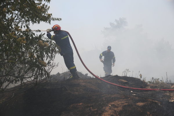 Πυροσβεστική: 36 αγροτοδασικές πυρκαγιές το τελευταίο 24ωρο σε όλη τη χώρα